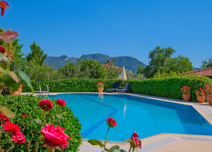 Karandjo فيلة فتحية